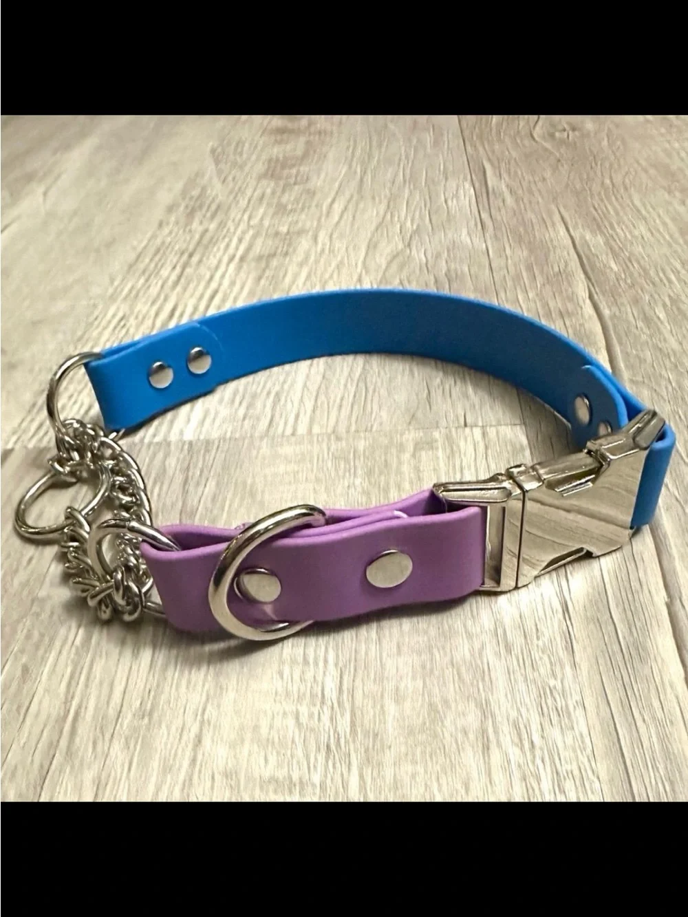 Biothane Quick Release Martingale 17.5” Dog Collar